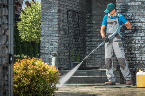 Best Driveway Pressure Washing  in Canfield, OH